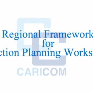 CARICOM HRD 2030 Strategy