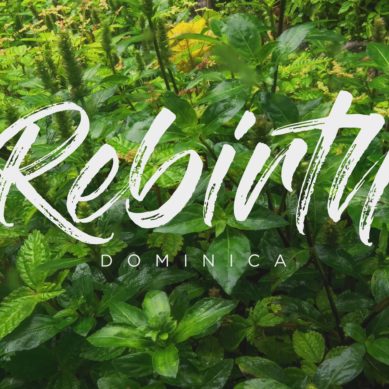 Rebirth: Dominica