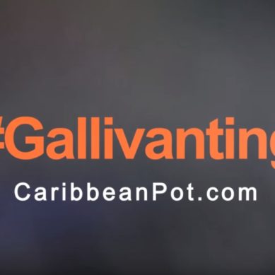 #Gallivanting with CaribbeanPot: Winter at St Lawrence Market Toronto