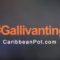 #Gallivanting with CaribbeanPot: Winter at St Lawrence Market Toronto