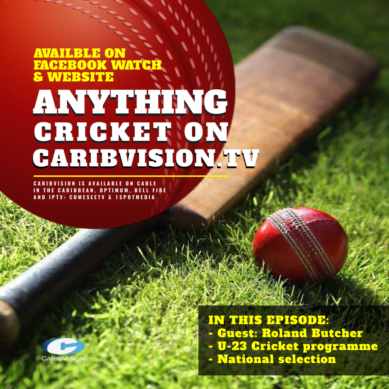 Anything Cricket S2-11